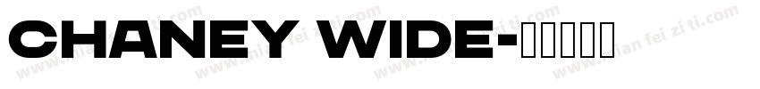 CHANEY Wide字体转换